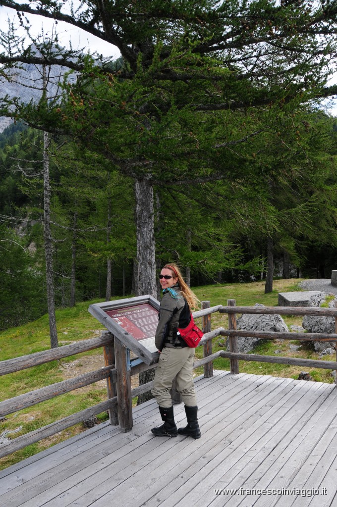 Verso il Passo del Vrsic  2011.07.29_16.JPG